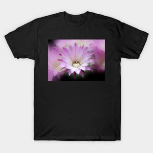 Pink Cactus Flower in the Rain #2 T-Shirt